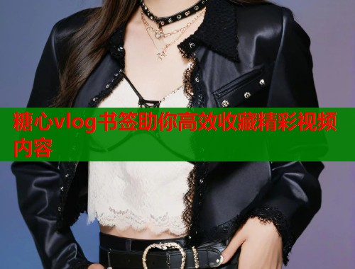 糖心vlog书签助你高效收藏精彩视频内容